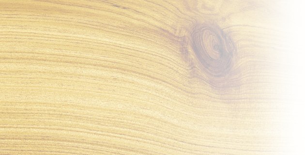 The science: why wood moves - Australian Wood Review